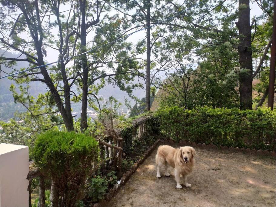 Whistling Thrush Cottage, Bhimtal Nainital Exteriér fotografie