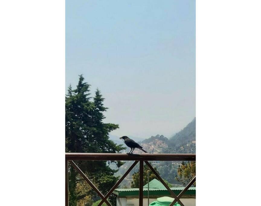 Whistling Thrush Cottage, Bhimtal Nainital Exteriér fotografie